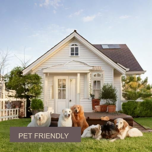 1 year room rental Pet Friendly Package